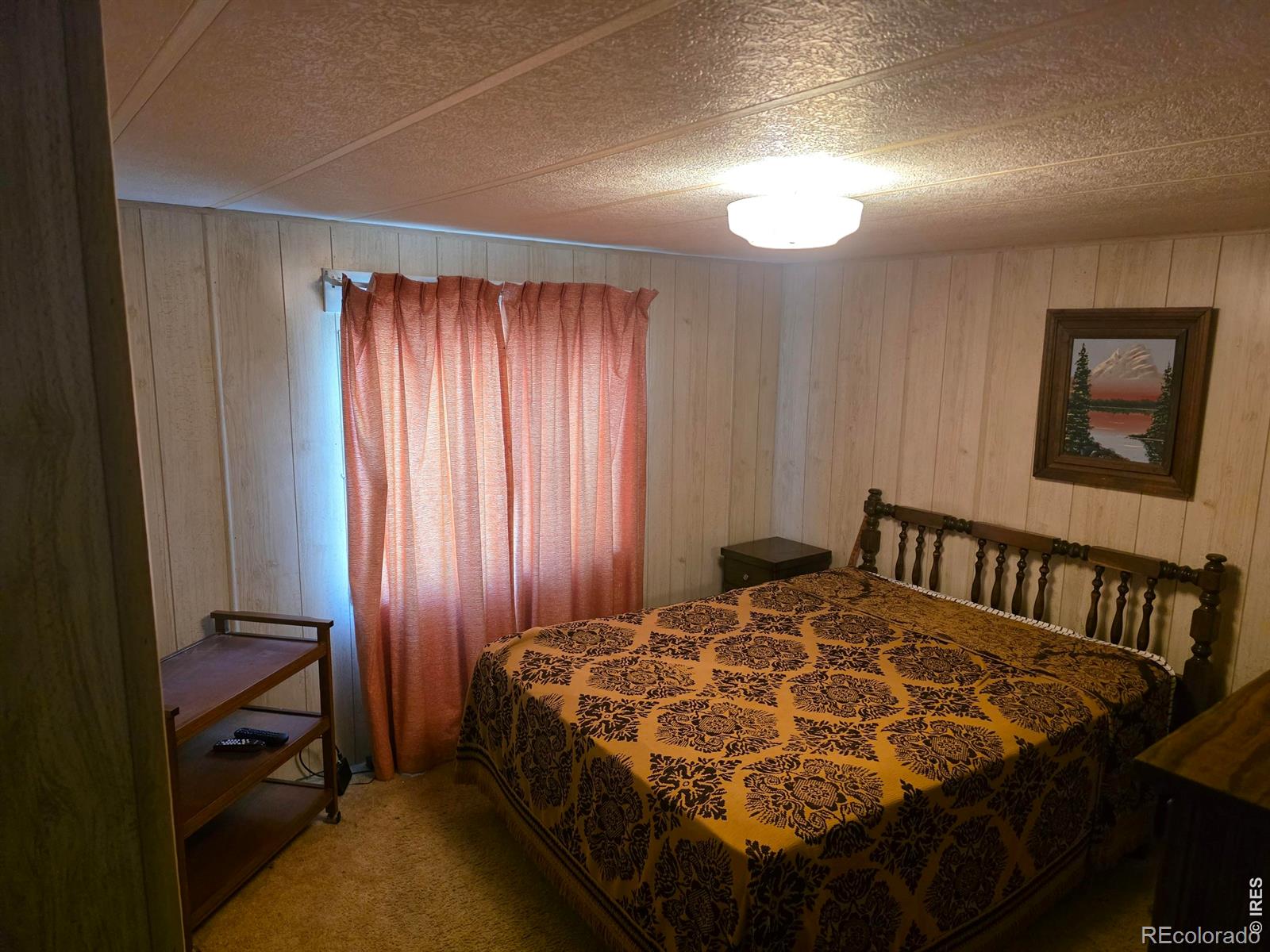 MLS Image #11 for 1213  macintyre court,dacono, Colorado