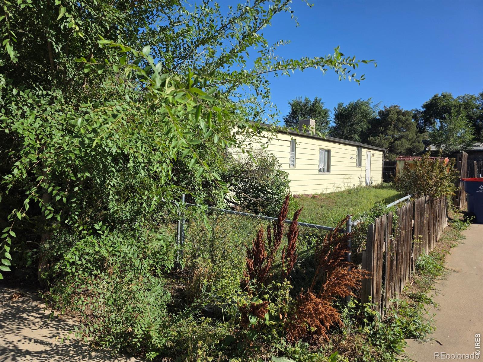 MLS Image #3 for 1213  macintyre court,dacono, Colorado