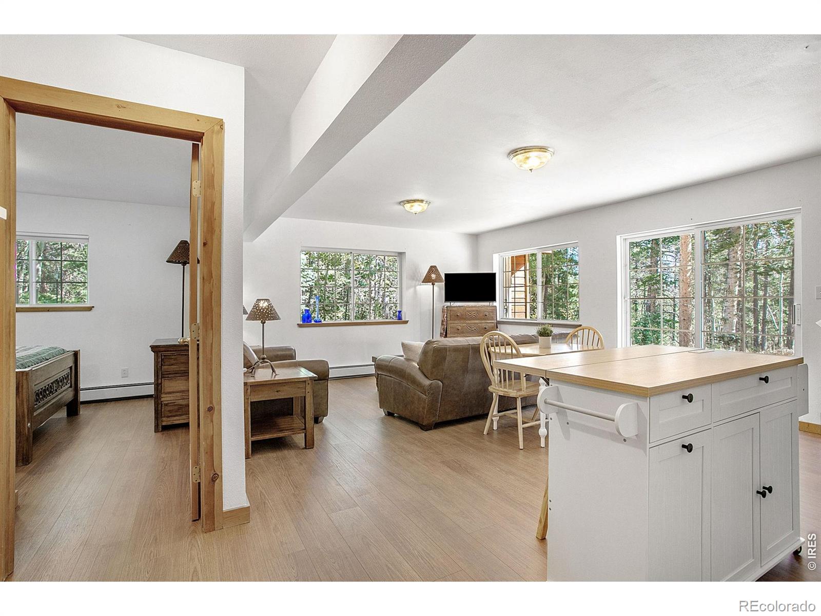 MLS Image #28 for 2439  lump gulch road,black hawk, Colorado