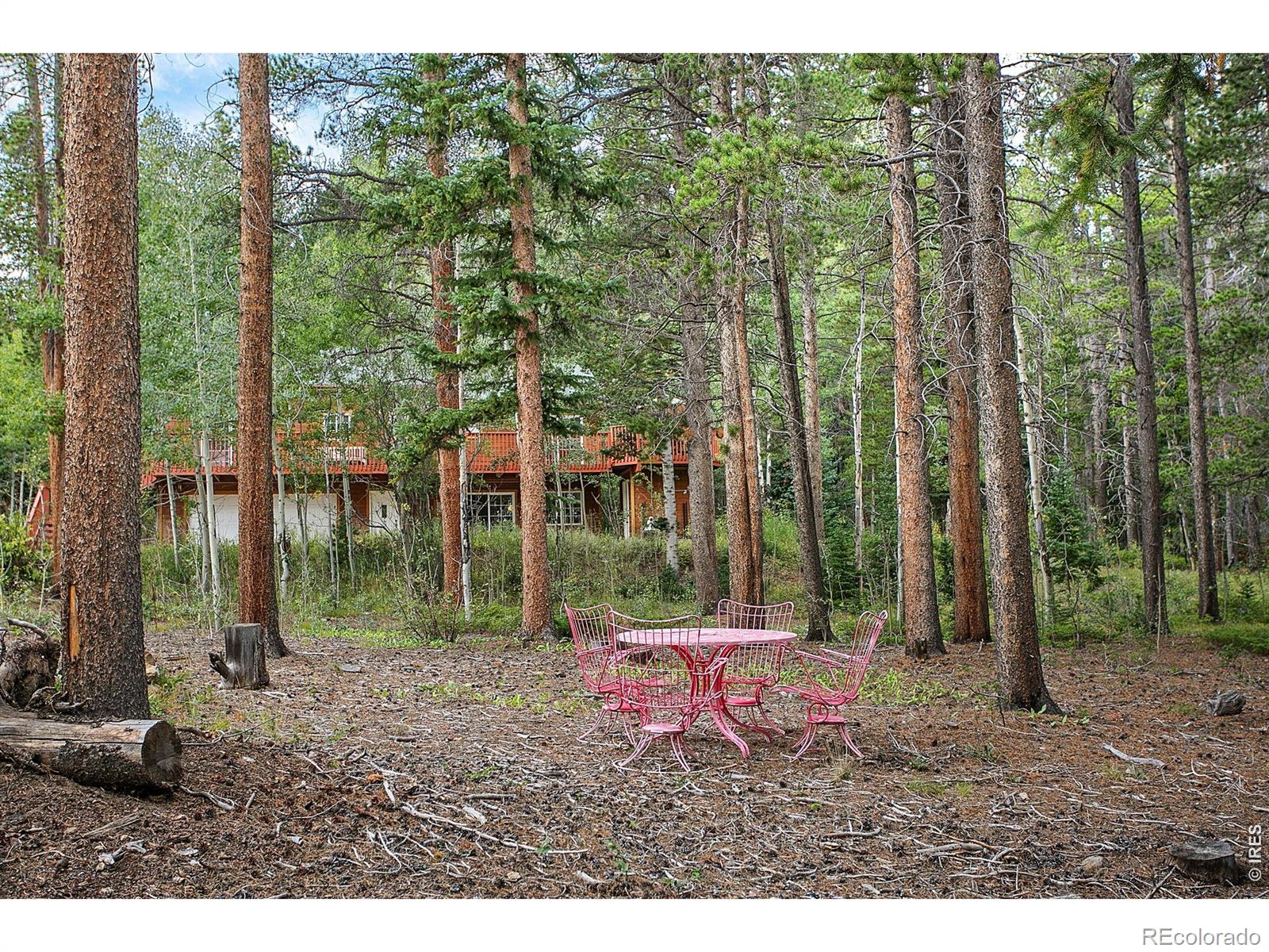 MLS Image #40 for 2439  lump gulch road,black hawk, Colorado