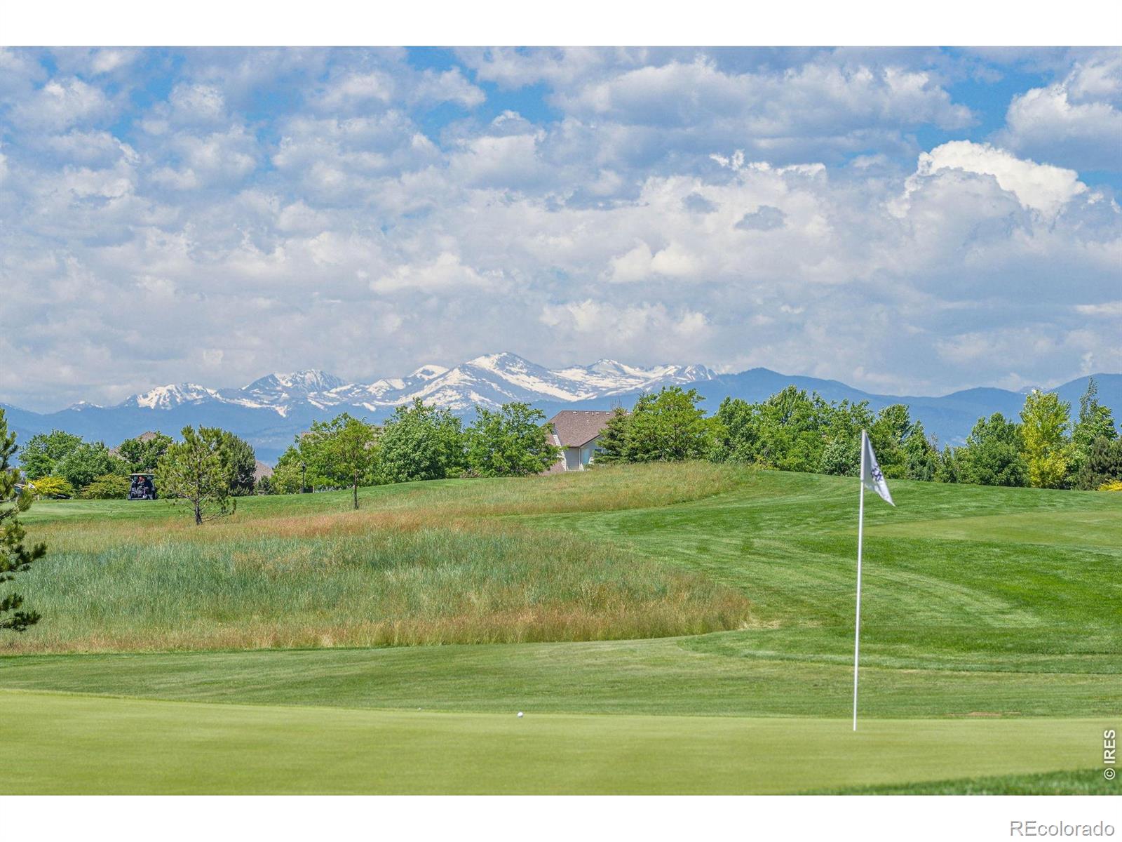 MLS Image #39 for 6467  half moon bay drive,windsor, Colorado
