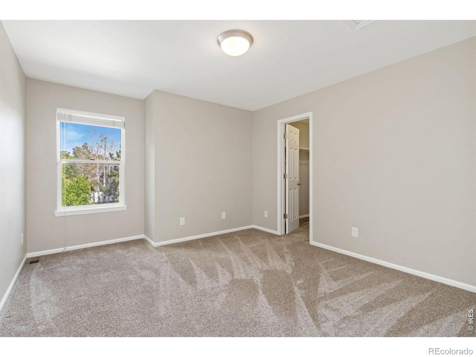 MLS Image #18 for 201  poudre bay ,windsor, Colorado