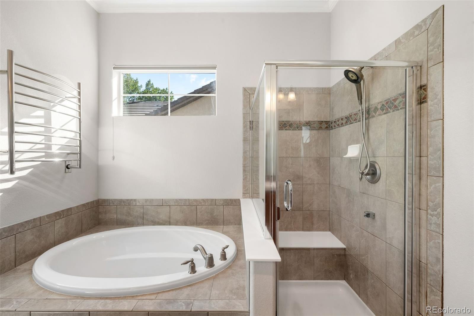 MLS Image #19 for 4825  bierstadt loop,broomfield, Colorado
