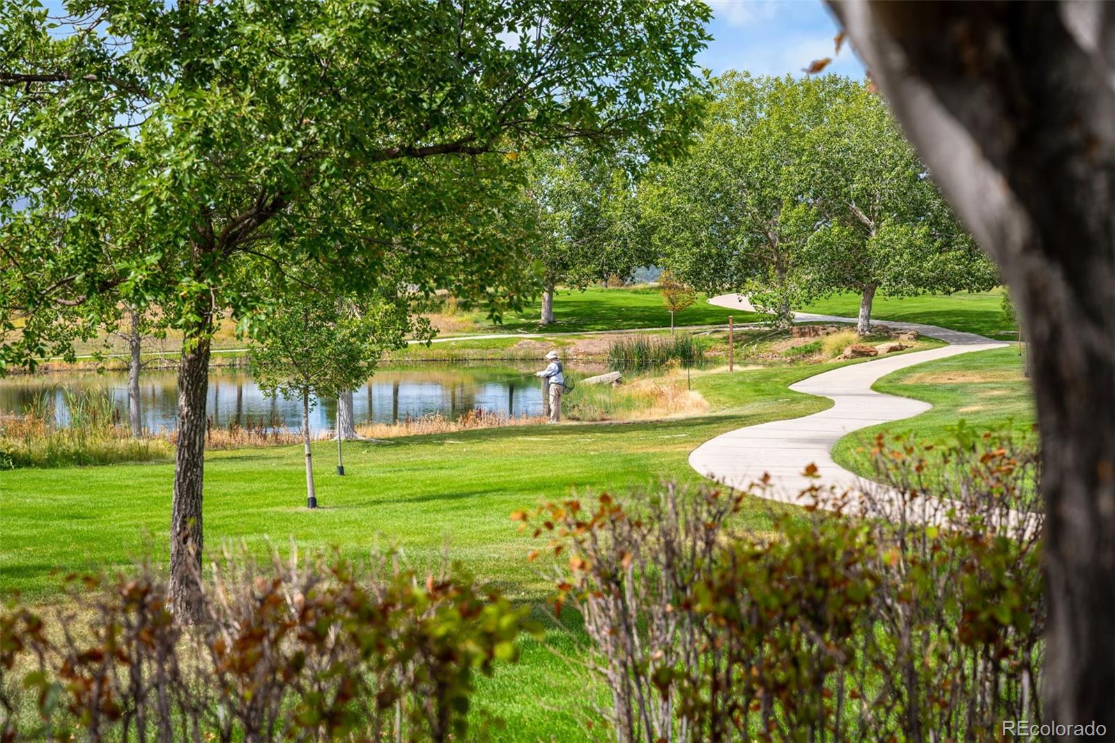 MLS Image #25 for 4825  bierstadt loop,broomfield, Colorado