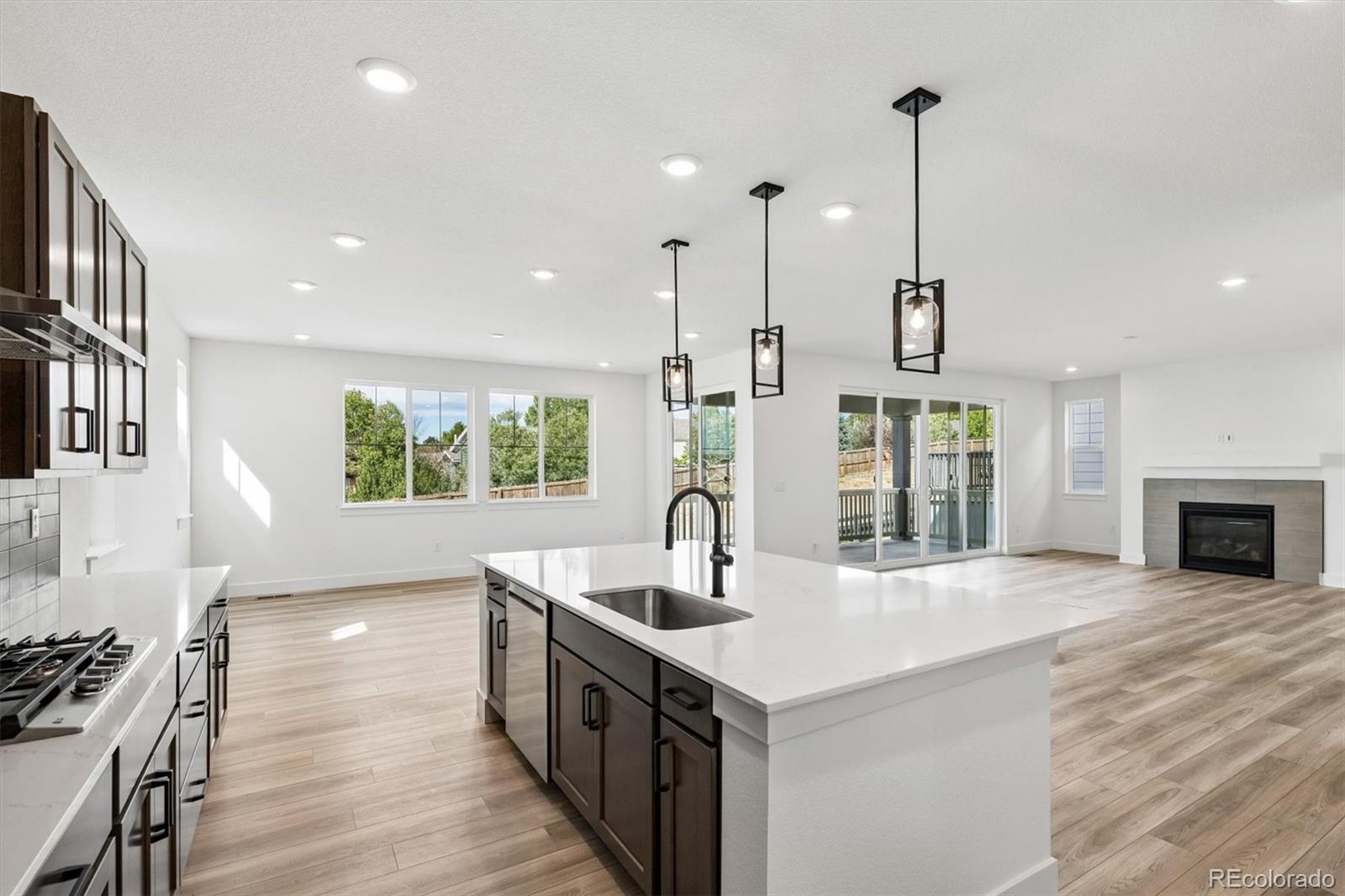 MLS Image #14 for 20951  grays peak drive,parker, Colorado