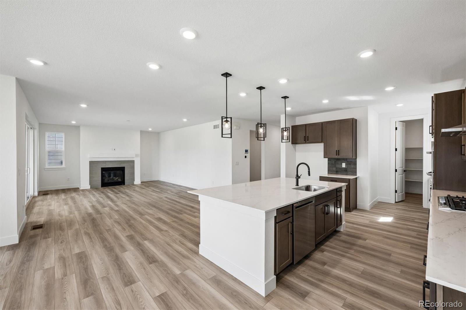 MLS Image #16 for 20951  grays peak drive,parker, Colorado