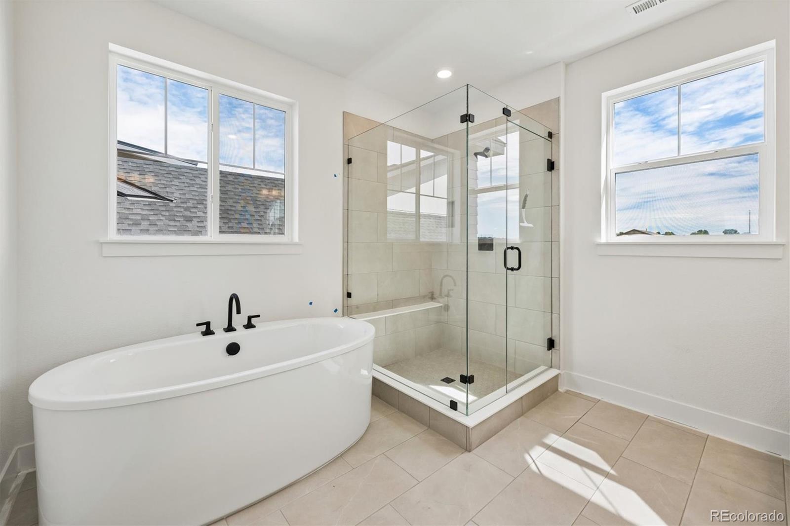 MLS Image #27 for 20951  grays peak drive,parker, Colorado