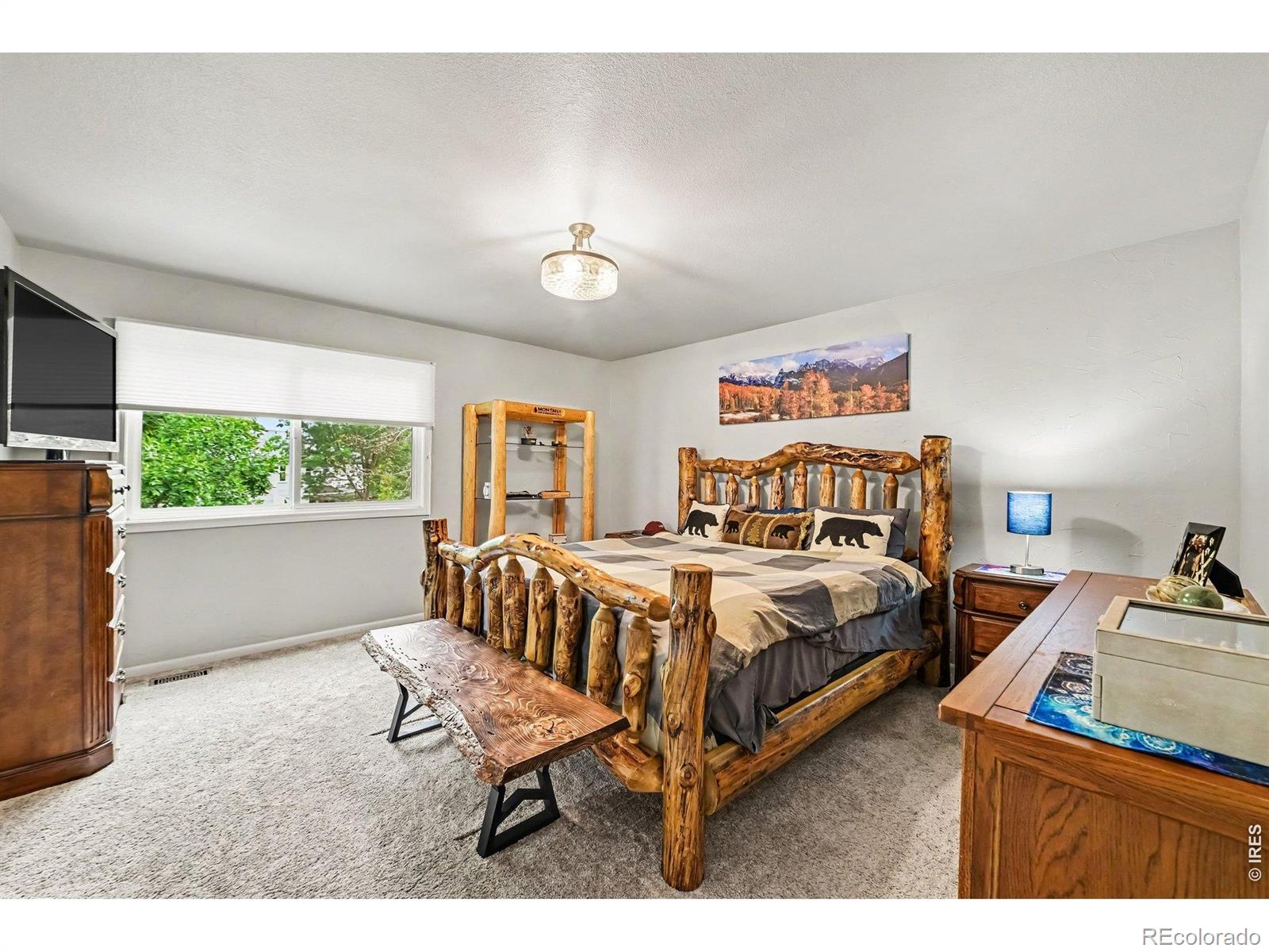 MLS Image #21 for 3856  larkspur court,loveland, Colorado
