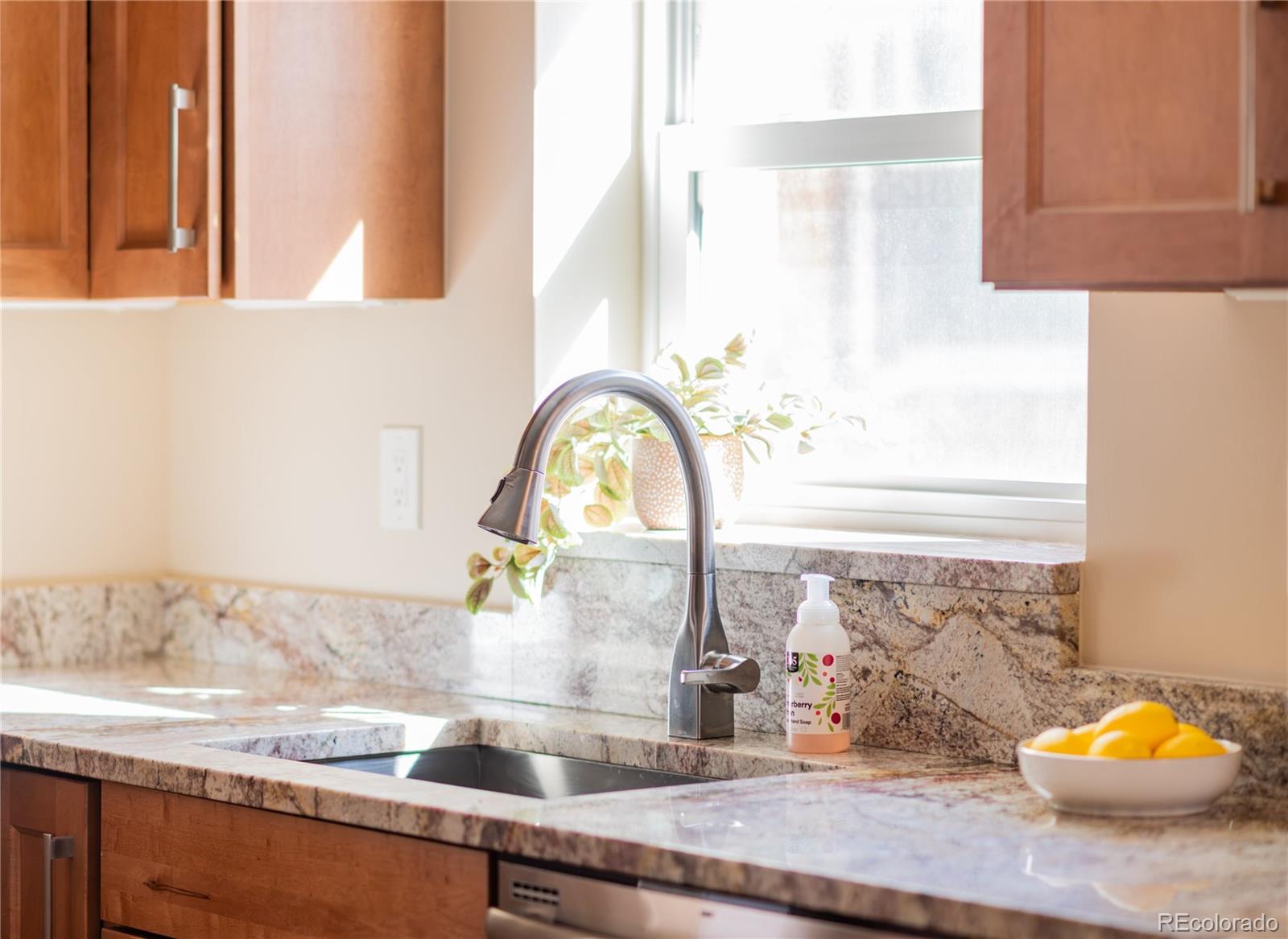 MLS Image #9 for 1462 s grant street,denver, Colorado