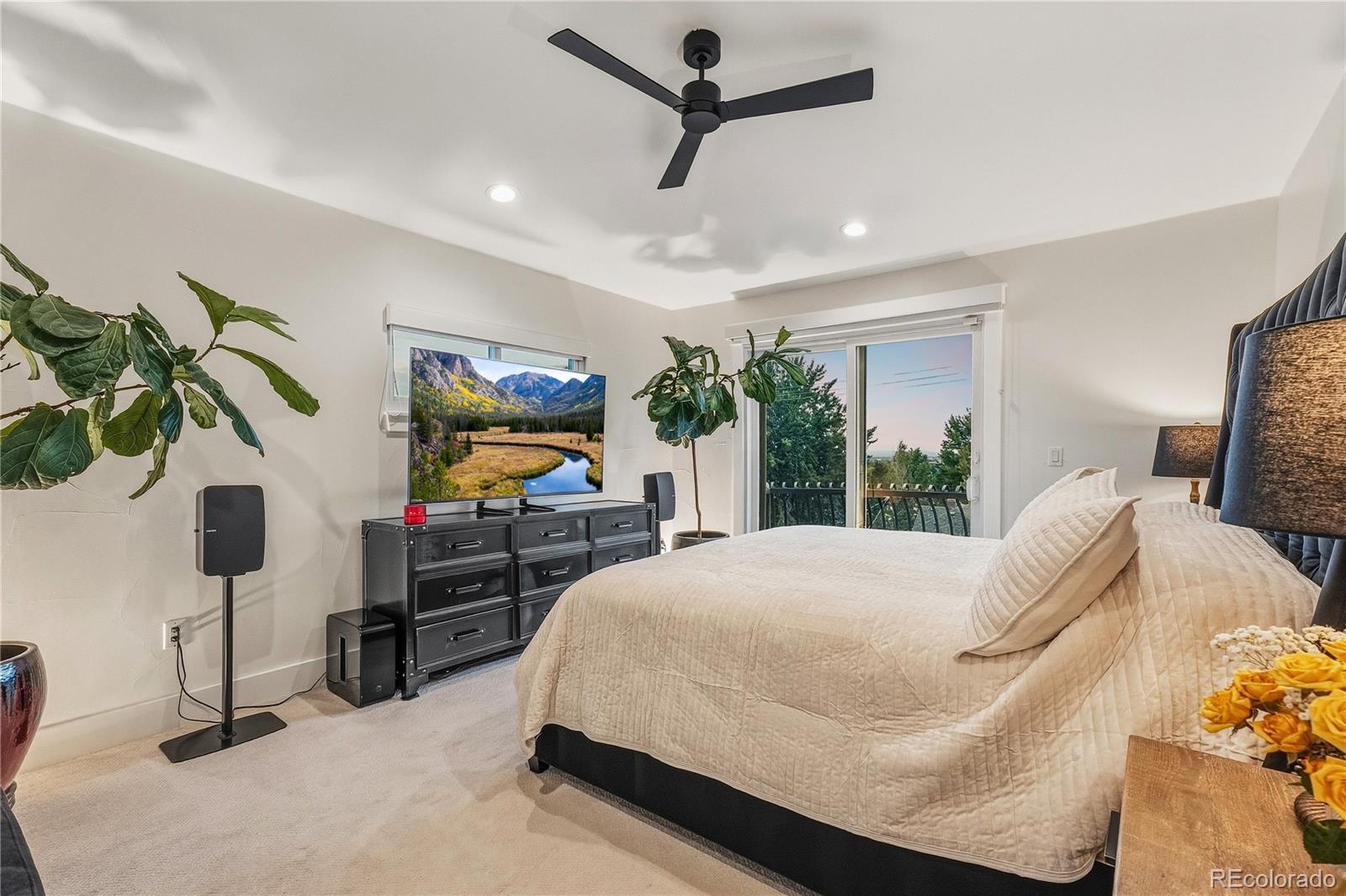 MLS Image #22 for 4714 w moncrieff place,denver, Colorado