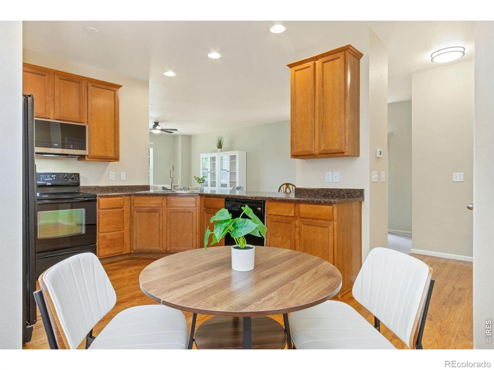 MLS Image #10 for 2833  sternwheeler drive,fort collins, Colorado