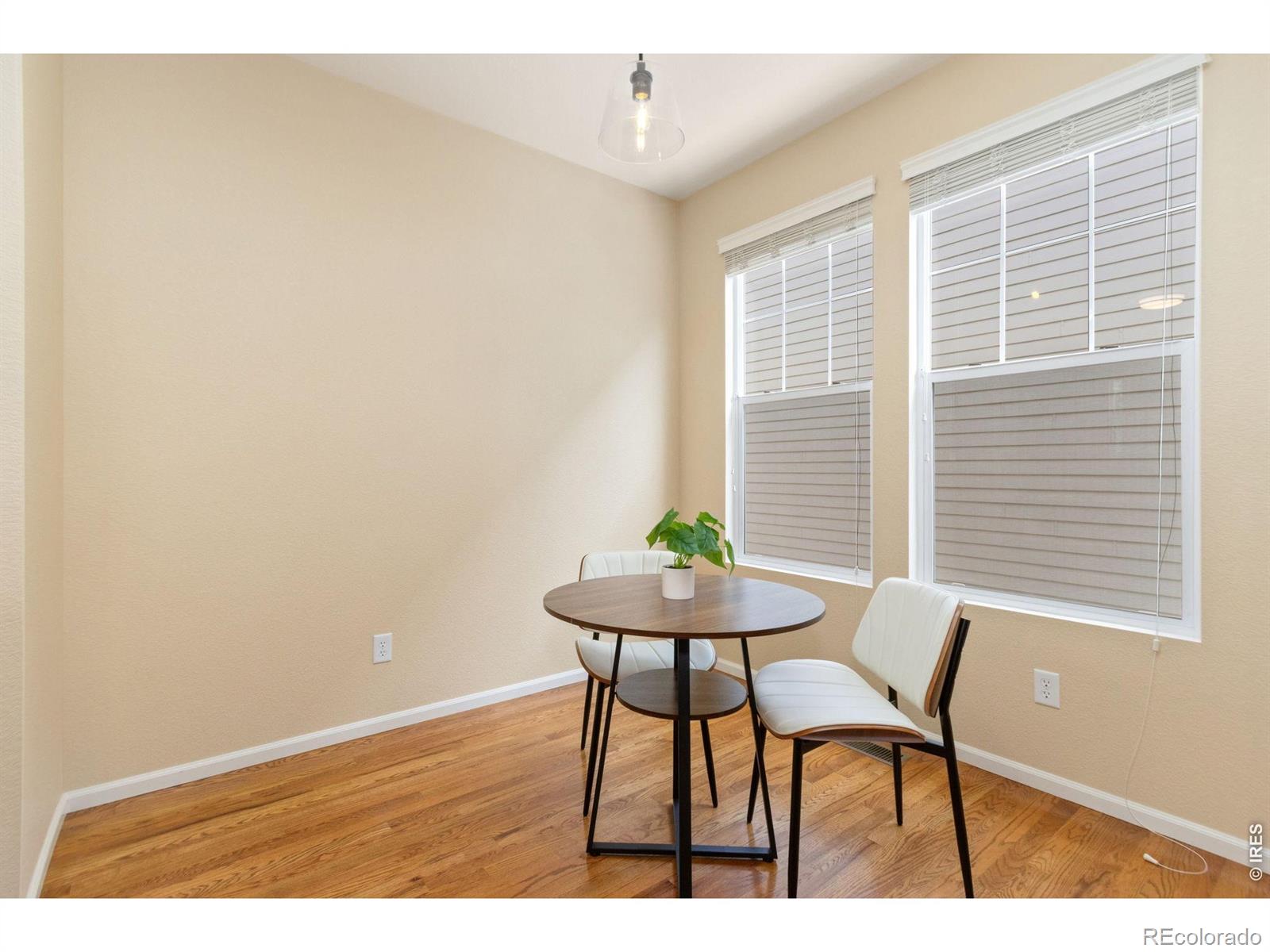 MLS Image #11 for 2833  sternwheeler drive,fort collins, Colorado