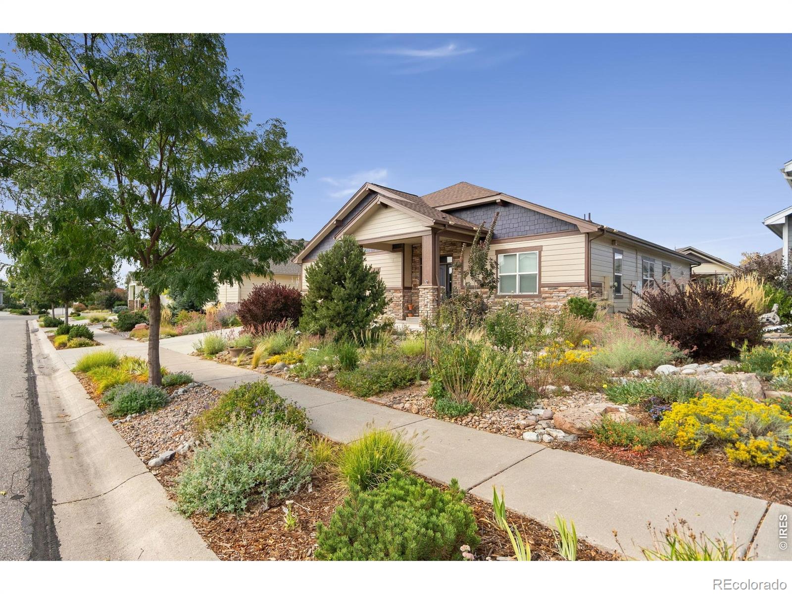 MLS Image #1 for 6727  snowdon drive,fort collins, Colorado
