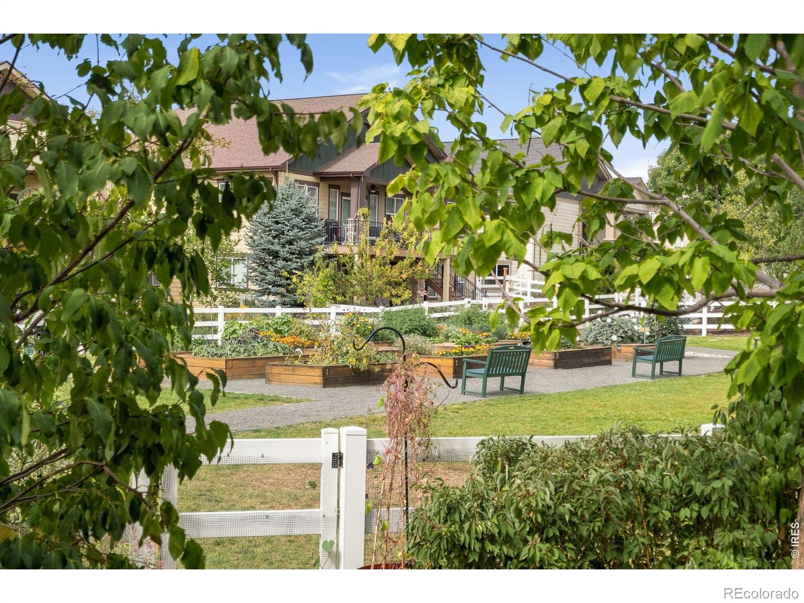 MLS Image #42 for 6727  snowdon drive,fort collins, Colorado
