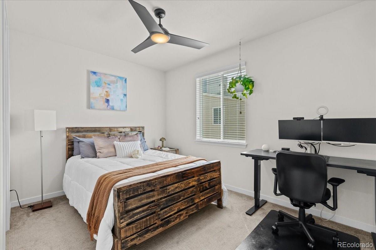 MLS Image #25 for 2421  java drive,castle rock, Colorado