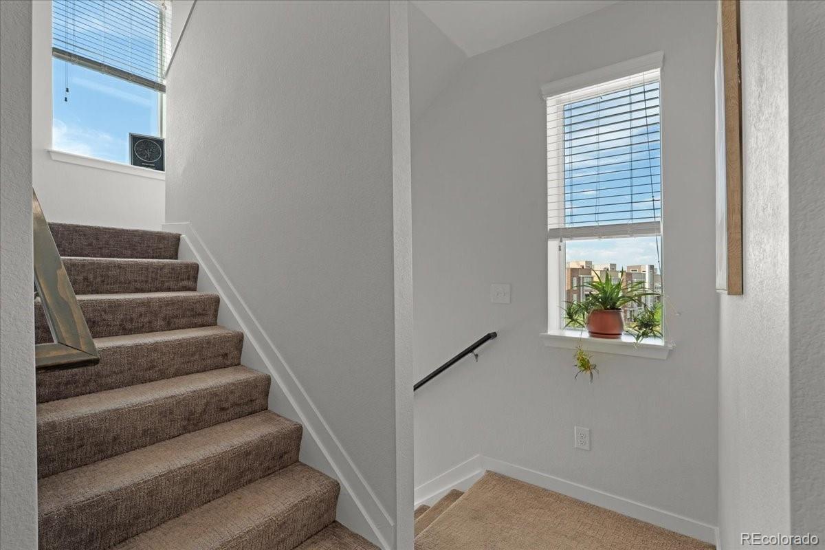 MLS Image #34 for 2421  java drive,castle rock, Colorado
