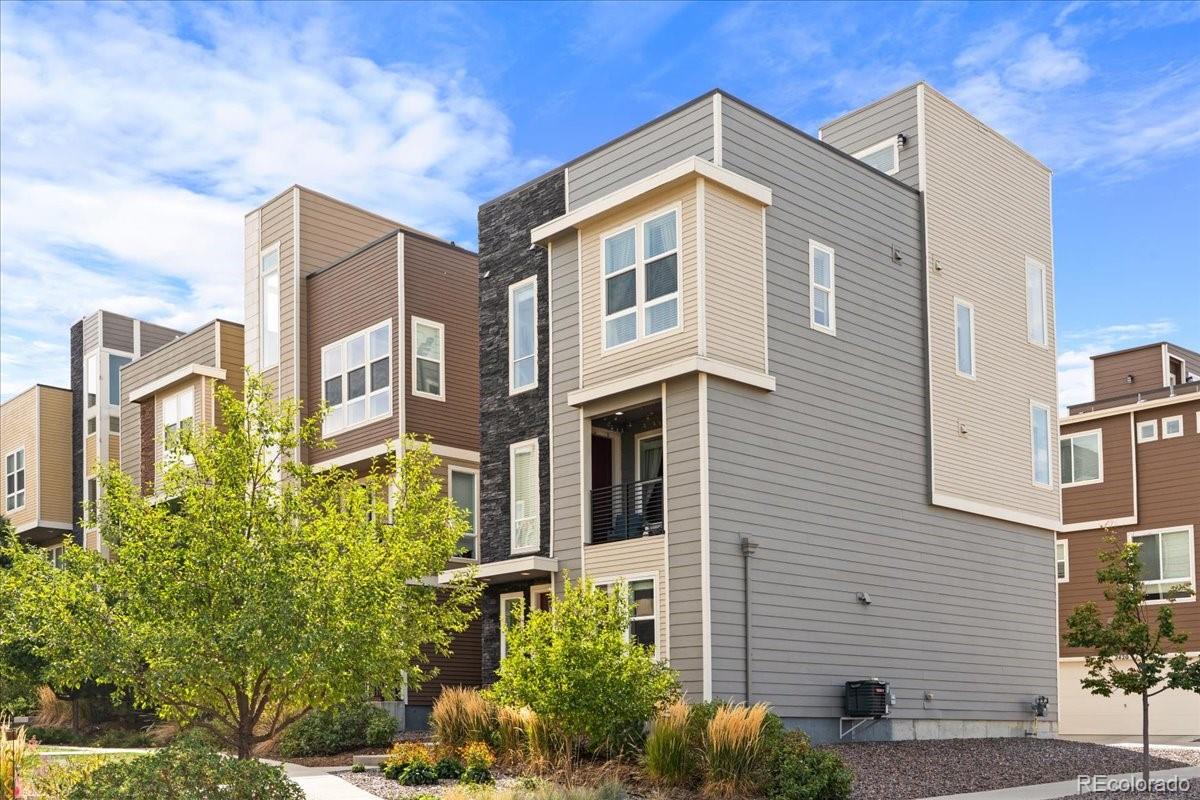 MLS Image #4 for 2421  java drive,castle rock, Colorado
