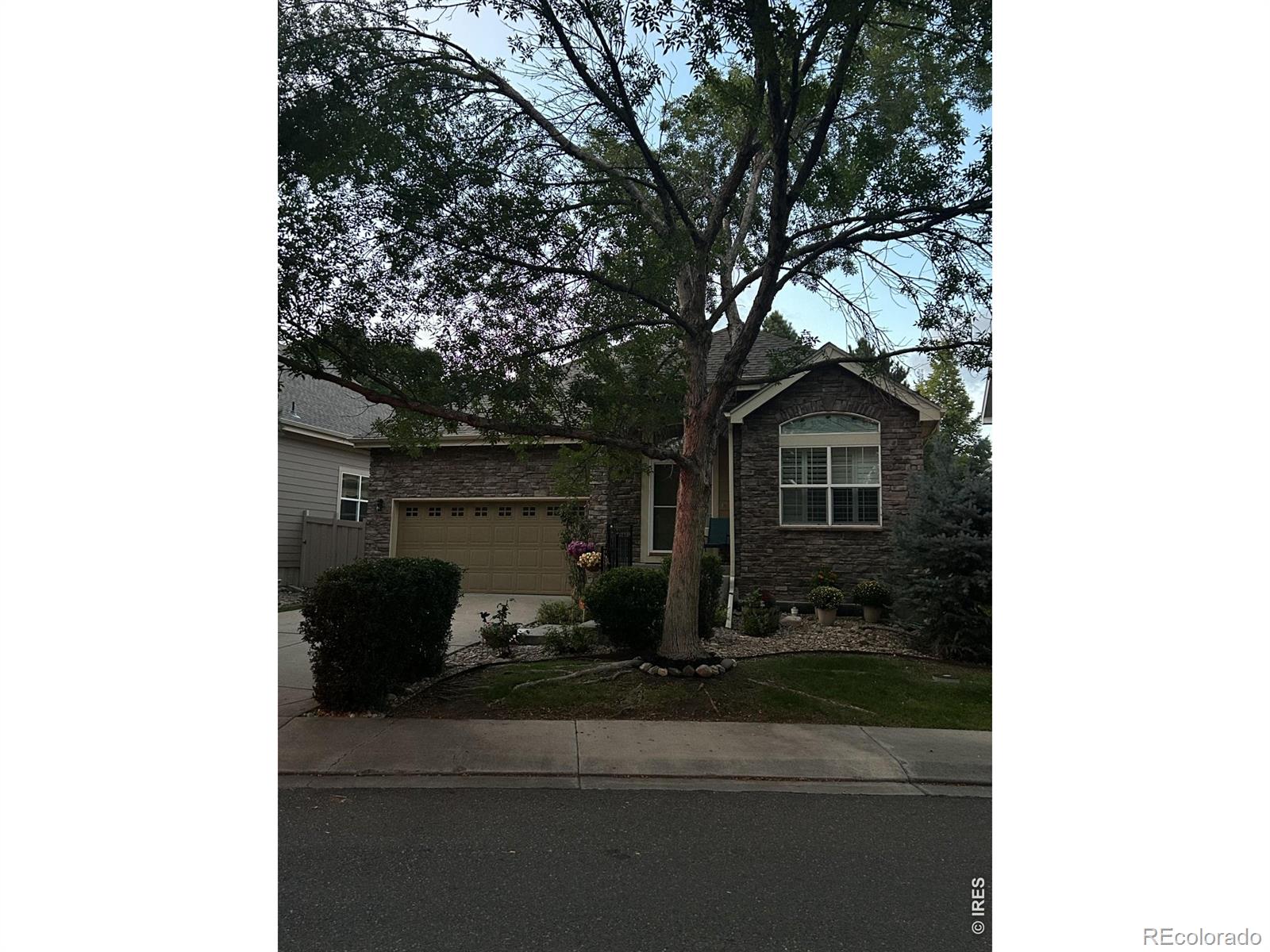 MLS Image #8 for 1636  metropolitan drive,longmont, Colorado