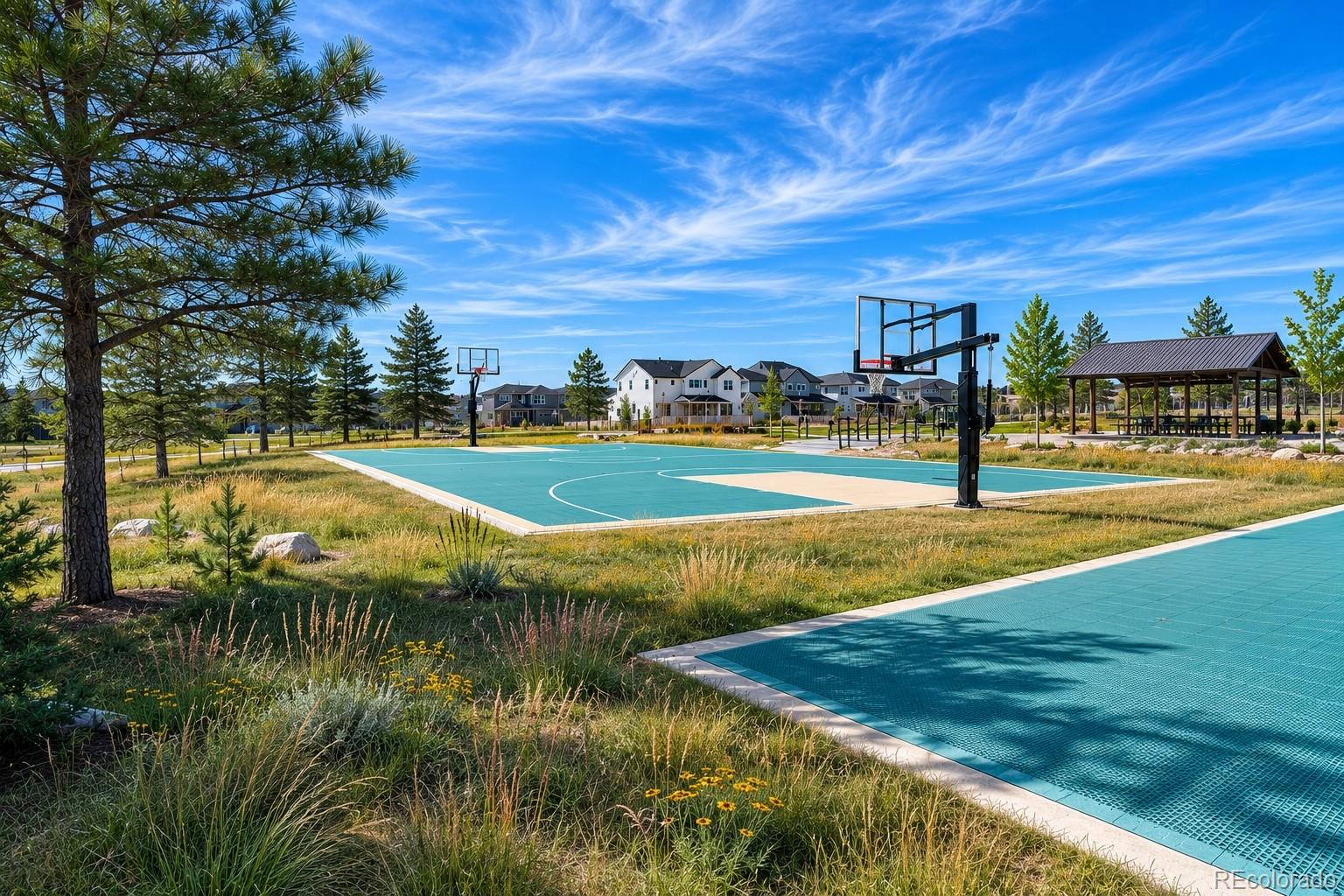 MLS Image #49 for 5647  amarosa drive,parker, Colorado