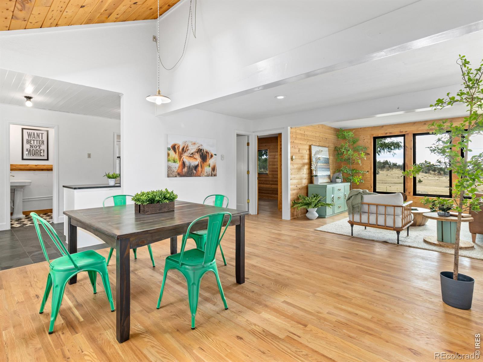 MLS Image #10 for 511  green mountain drive,livermore, Colorado