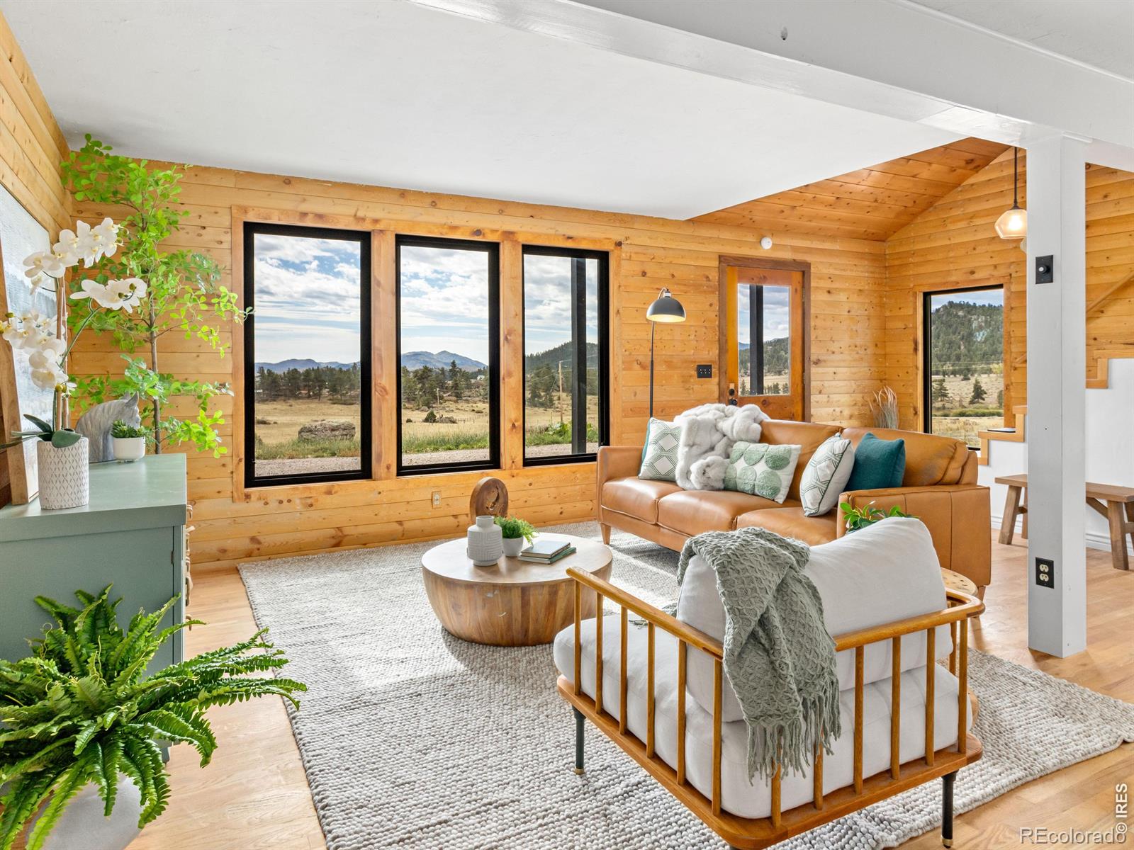 MLS Image #3 for 511  green mountain drive,livermore, Colorado