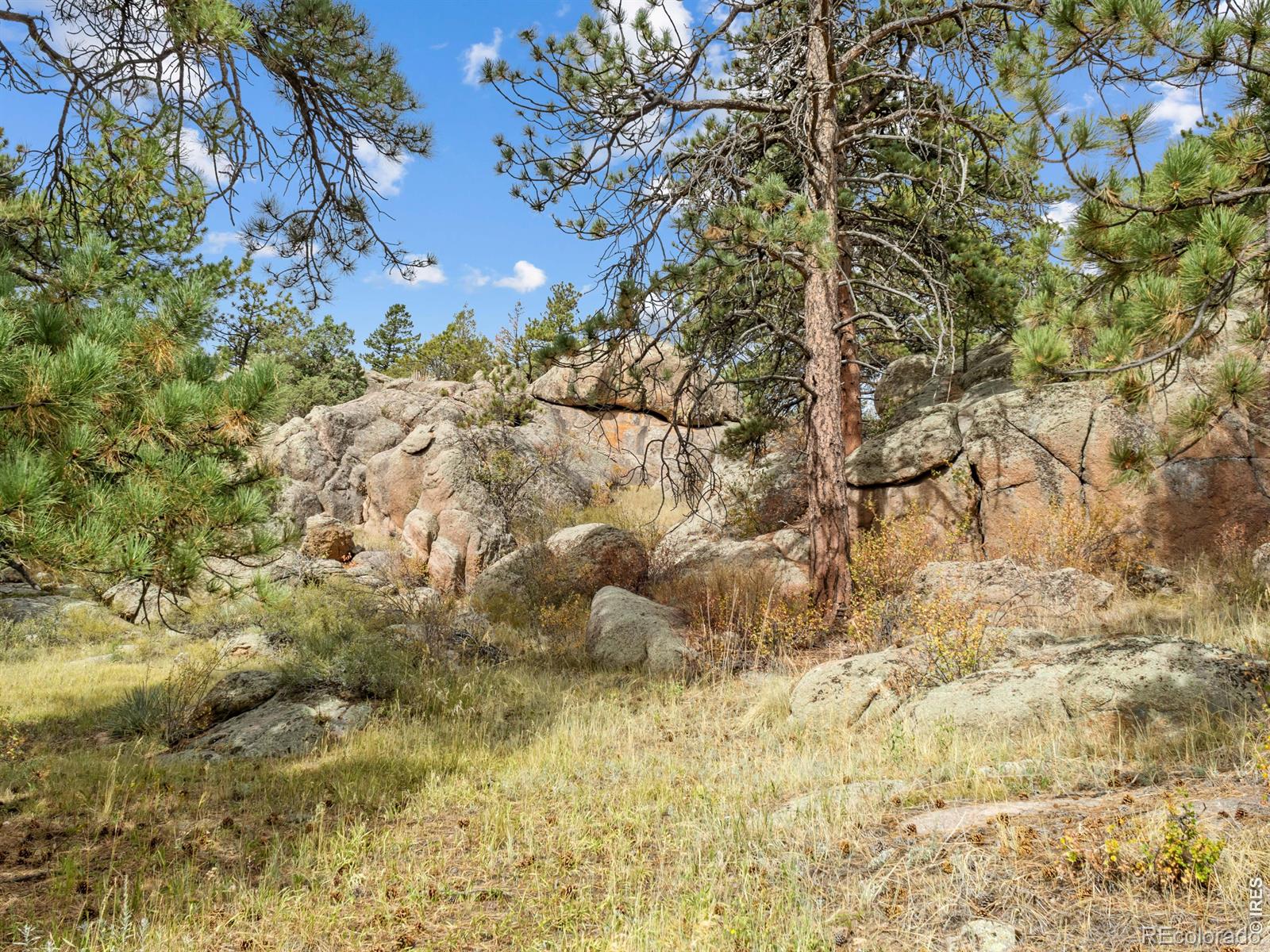 MLS Image #43 for 511  green mountain drive,livermore, Colorado