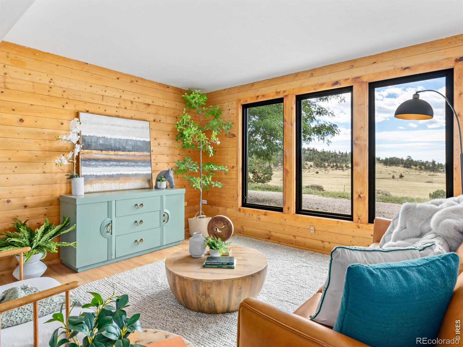 MLS Image #6 for 511  green mountain drive,livermore, Colorado