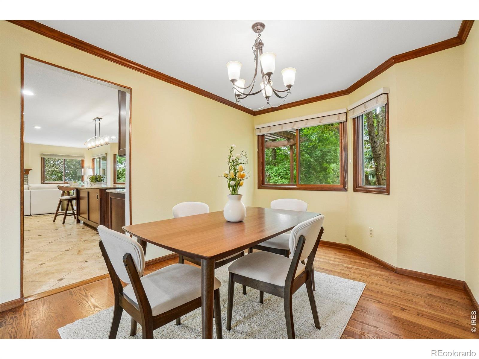 MLS Image #15 for 5314  castle pines court,fort collins, Colorado