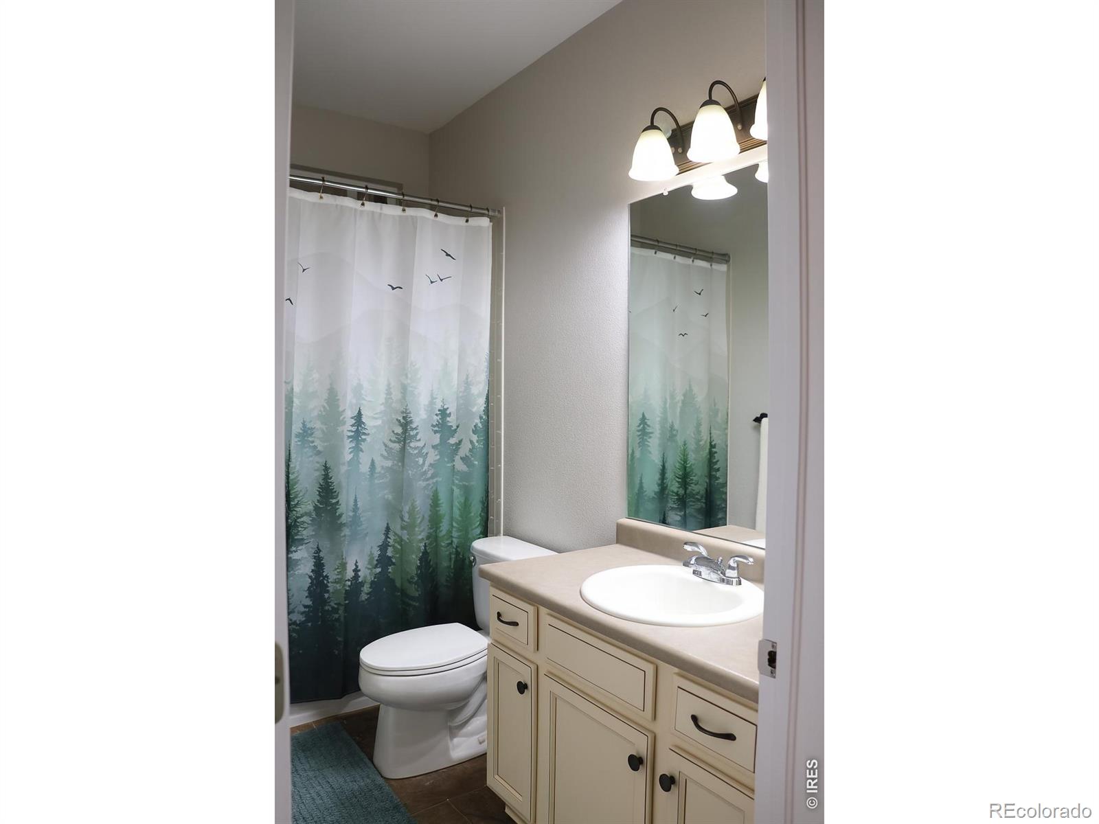 MLS Image #13 for 13284  elk mountain way,broomfield, Colorado