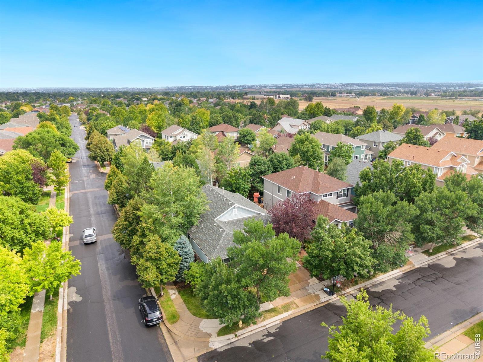 MLS Image #31 for 13284  elk mountain way,broomfield, Colorado