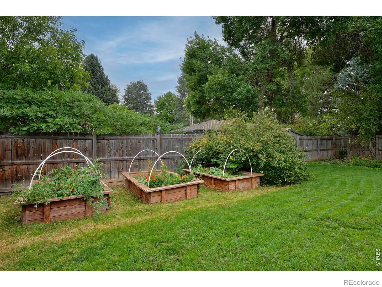 MLS Image #36 for 761  cherokee drive,fort collins, Colorado