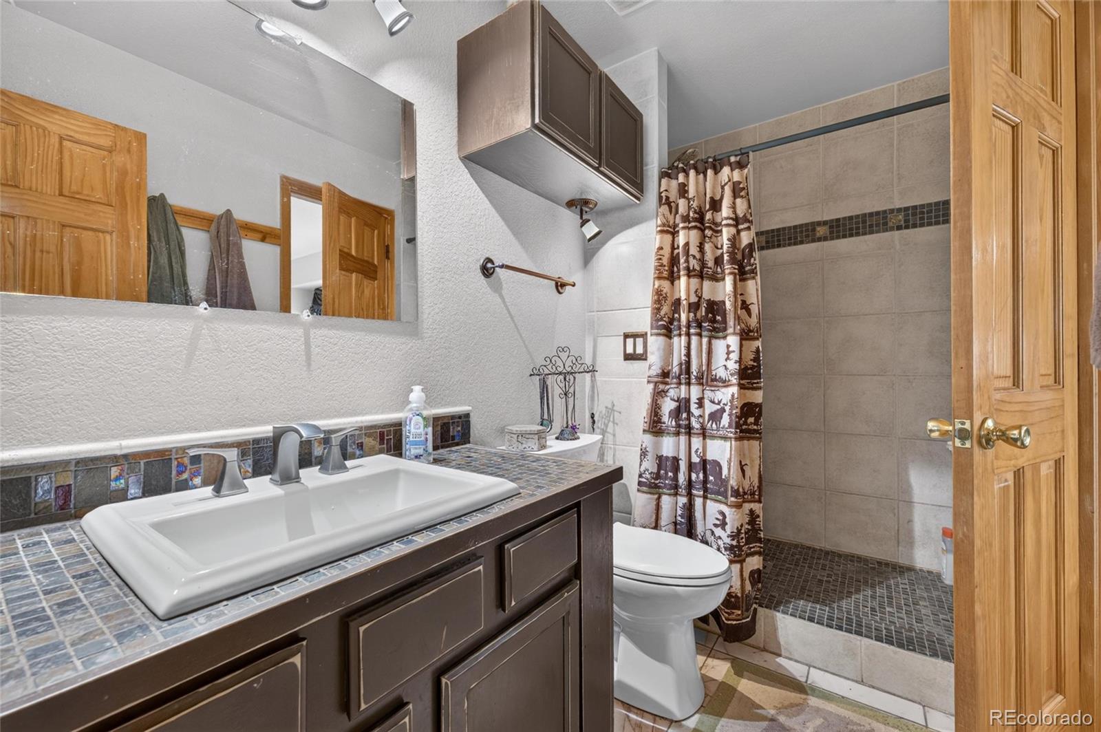 MLS Image #11 for 196  conifer drive,bailey, Colorado