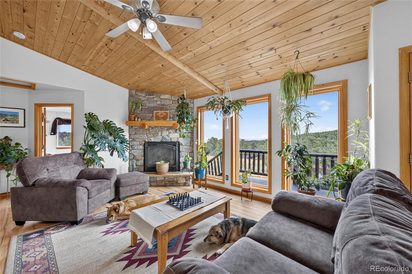MLS Image #12 for 196  conifer drive,bailey, Colorado