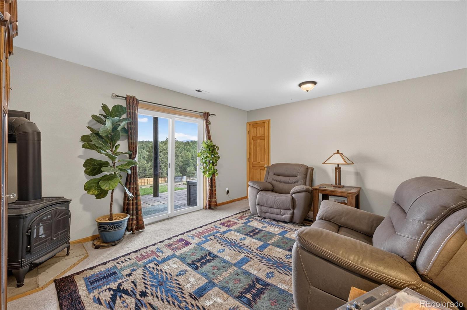 MLS Image #17 for 196  conifer drive,bailey, Colorado