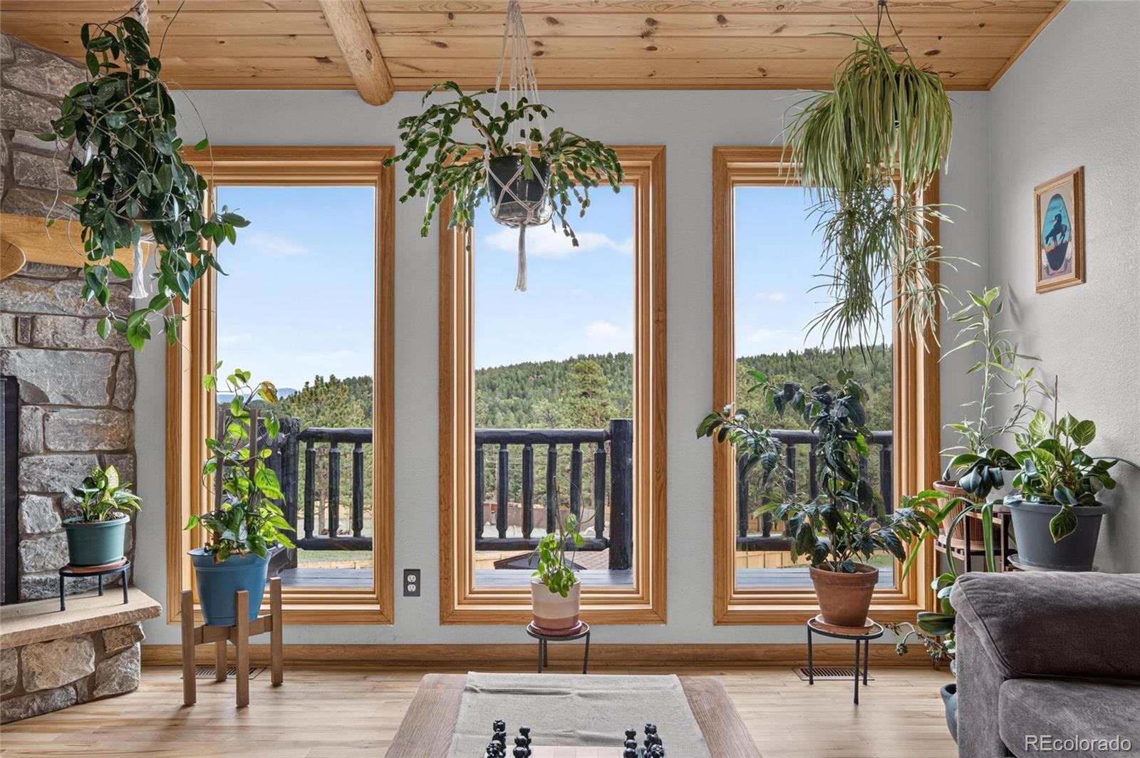 MLS Image #32 for 196  conifer drive,bailey, Colorado
