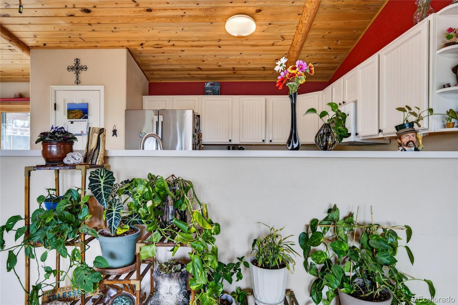 MLS Image #7 for 196  conifer drive,bailey, Colorado
