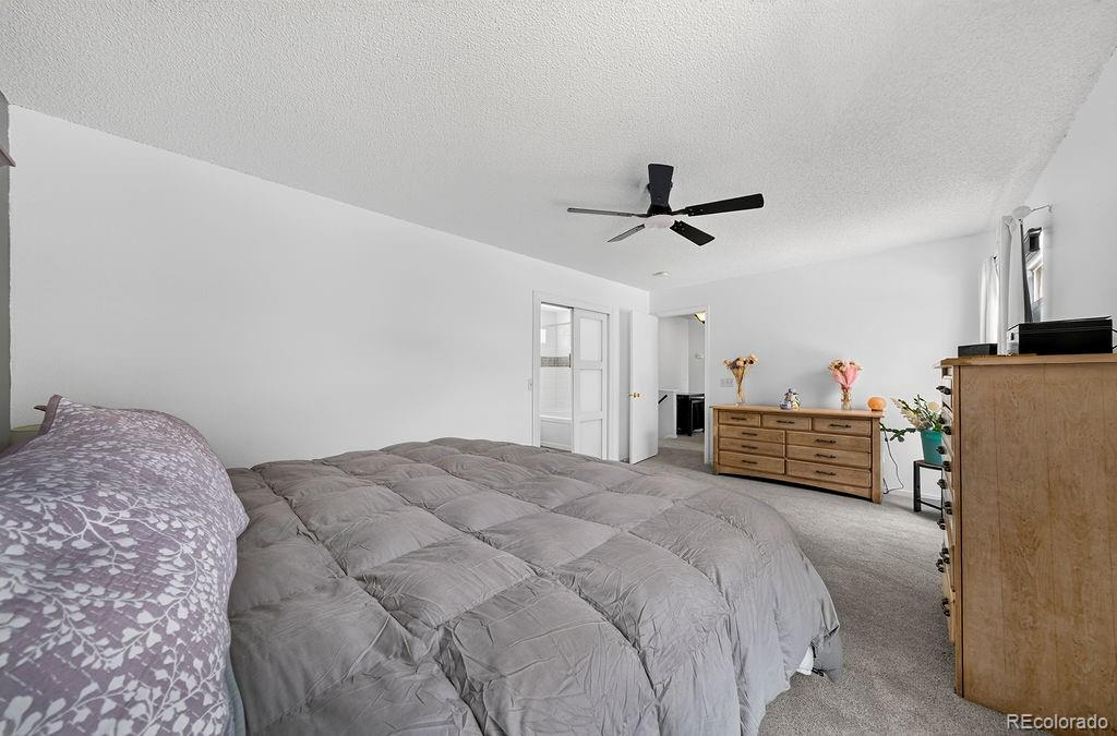 MLS Image #29 for 7110  battle mountain road,colorado springs, Colorado