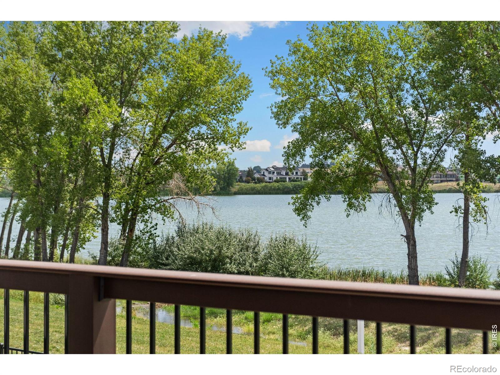 MLS Image #13 for 3324  fox crossing place,loveland, Colorado