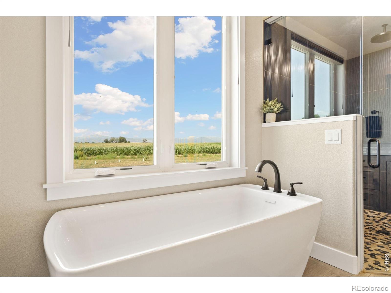 MLS Image #29 for 3324  fox crossing place,loveland, Colorado
