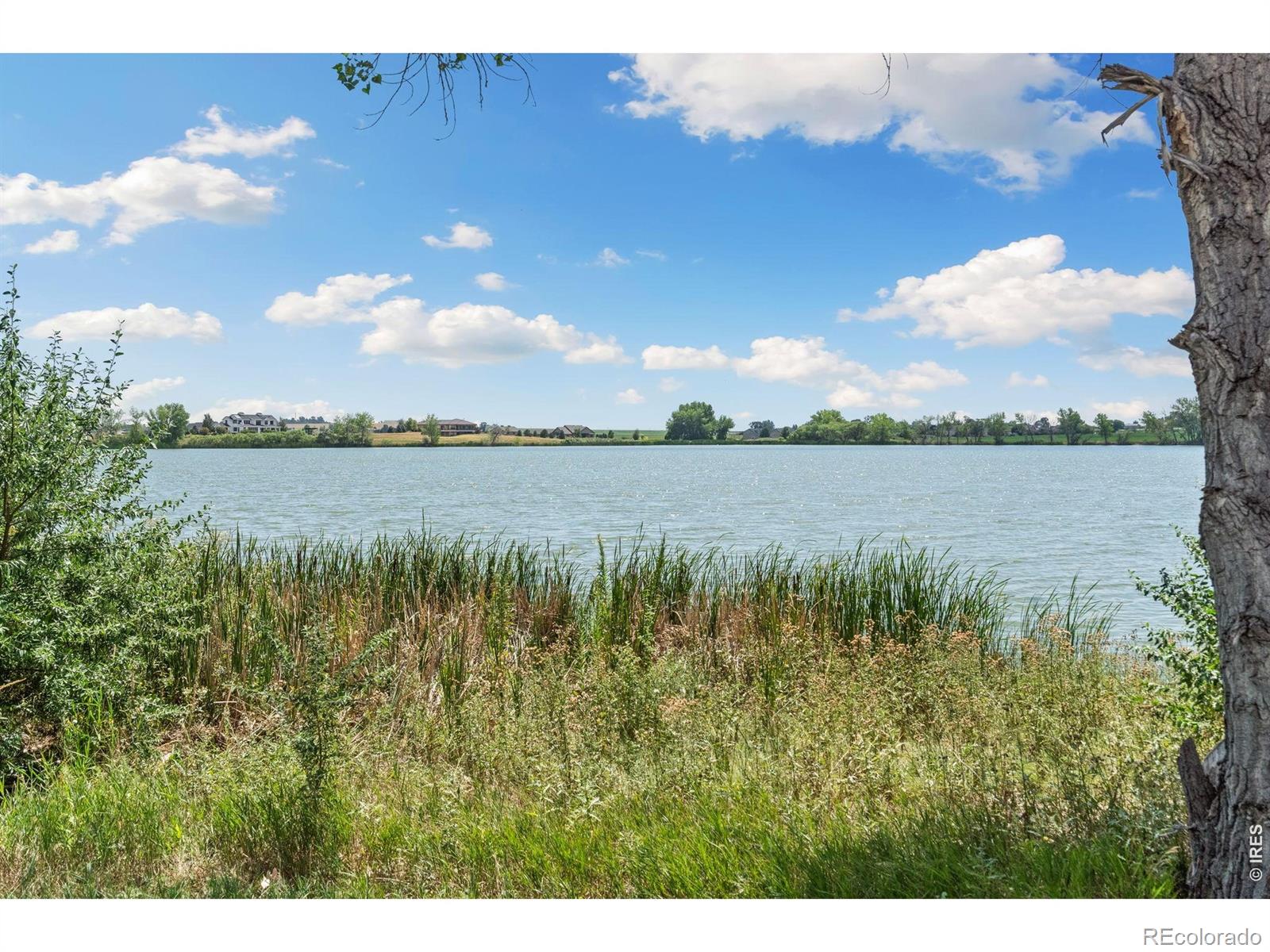 MLS Image #46 for 3324  fox crossing place,loveland, Colorado