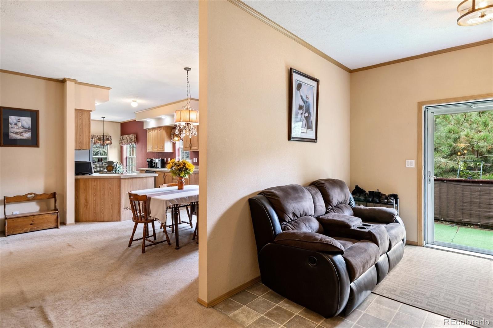MLS Image #11 for 129  kestrel court,divide, Colorado