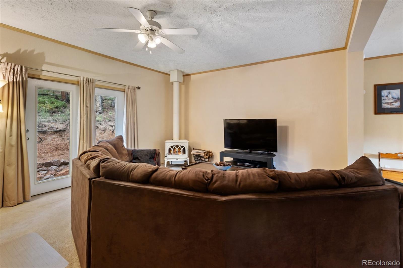MLS Image #12 for 129  kestrel court,divide, Colorado
