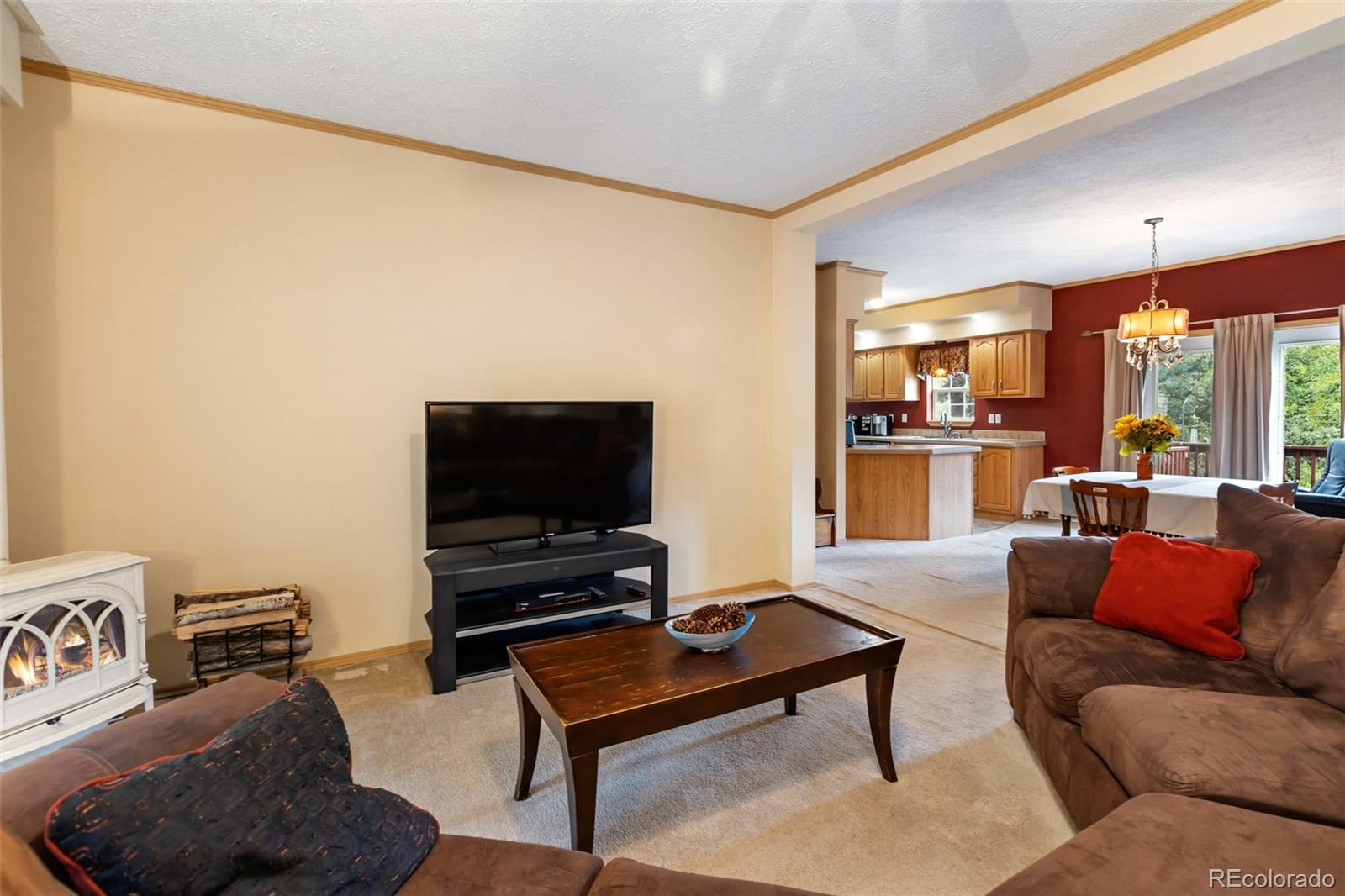MLS Image #13 for 129  kestrel court,divide, Colorado
