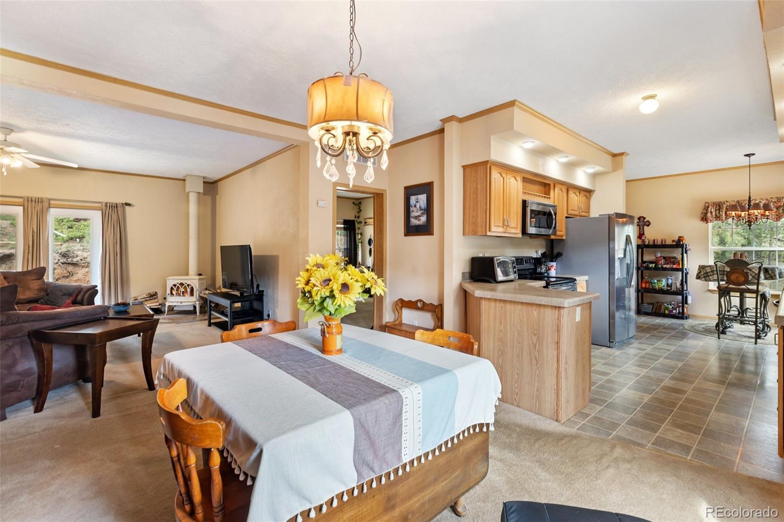 MLS Image #16 for 129  kestrel court,divide, Colorado