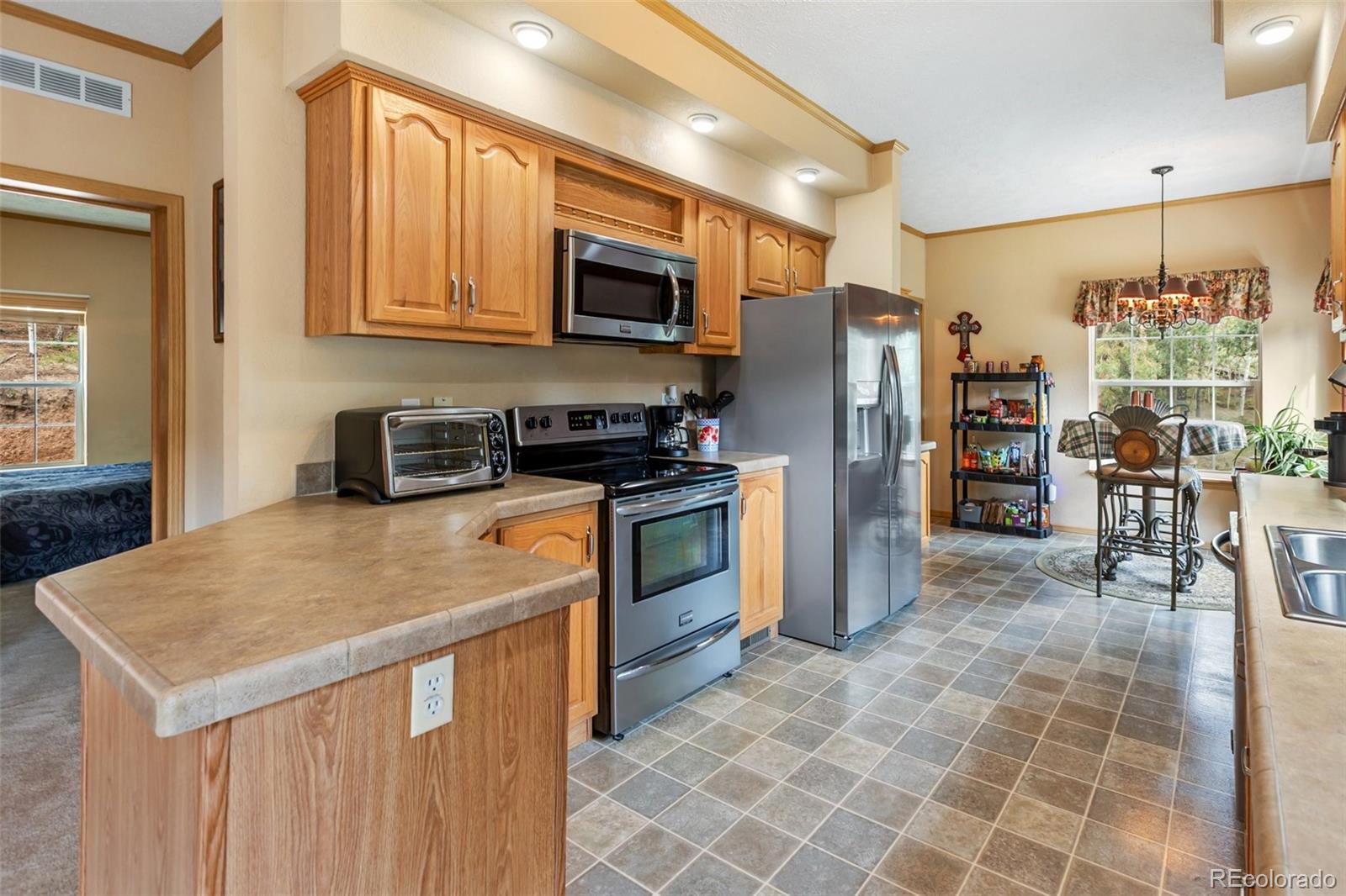 MLS Image #17 for 129  kestrel court,divide, Colorado