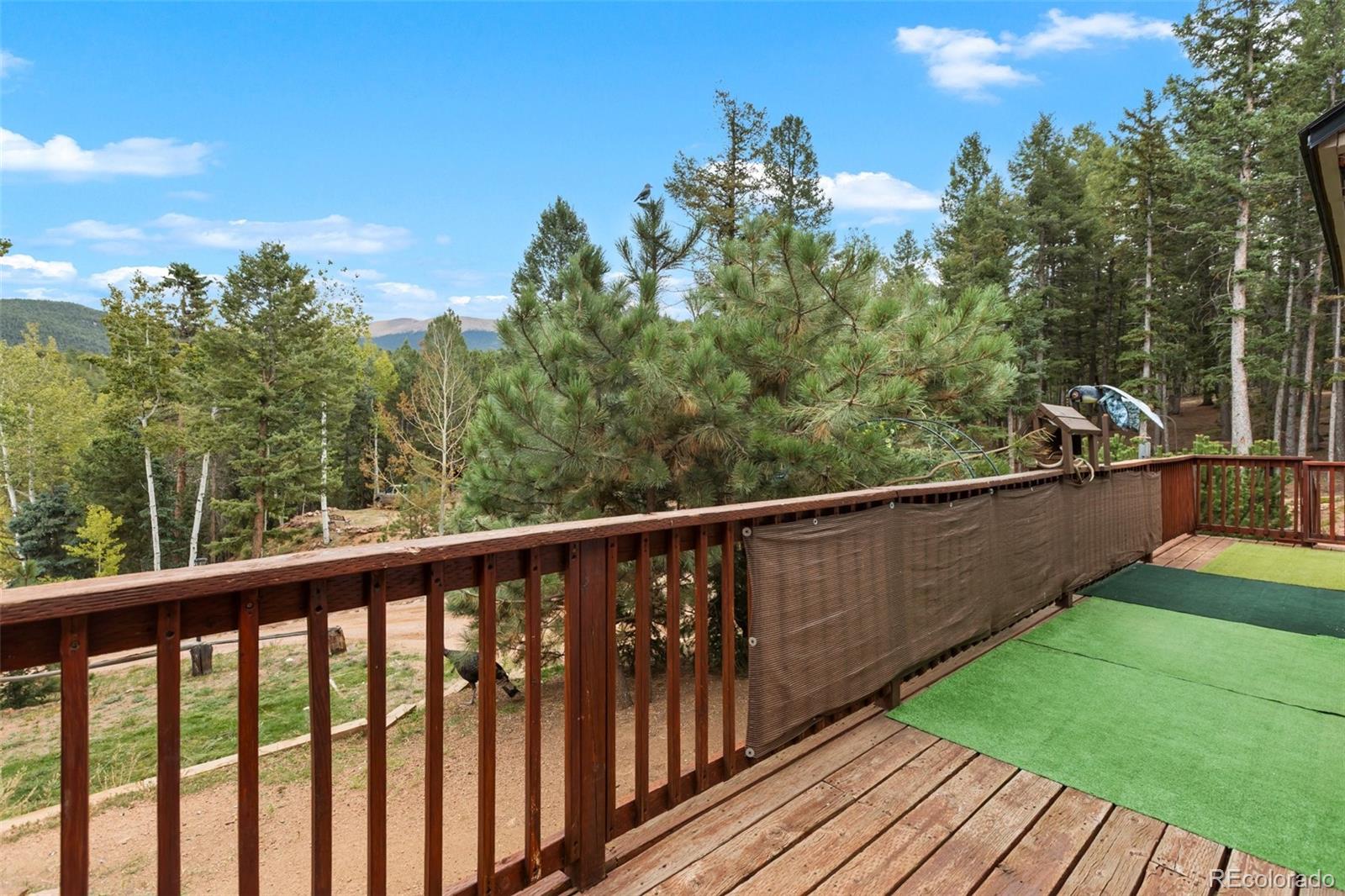 MLS Image #2 for 129  kestrel court,divide, Colorado
