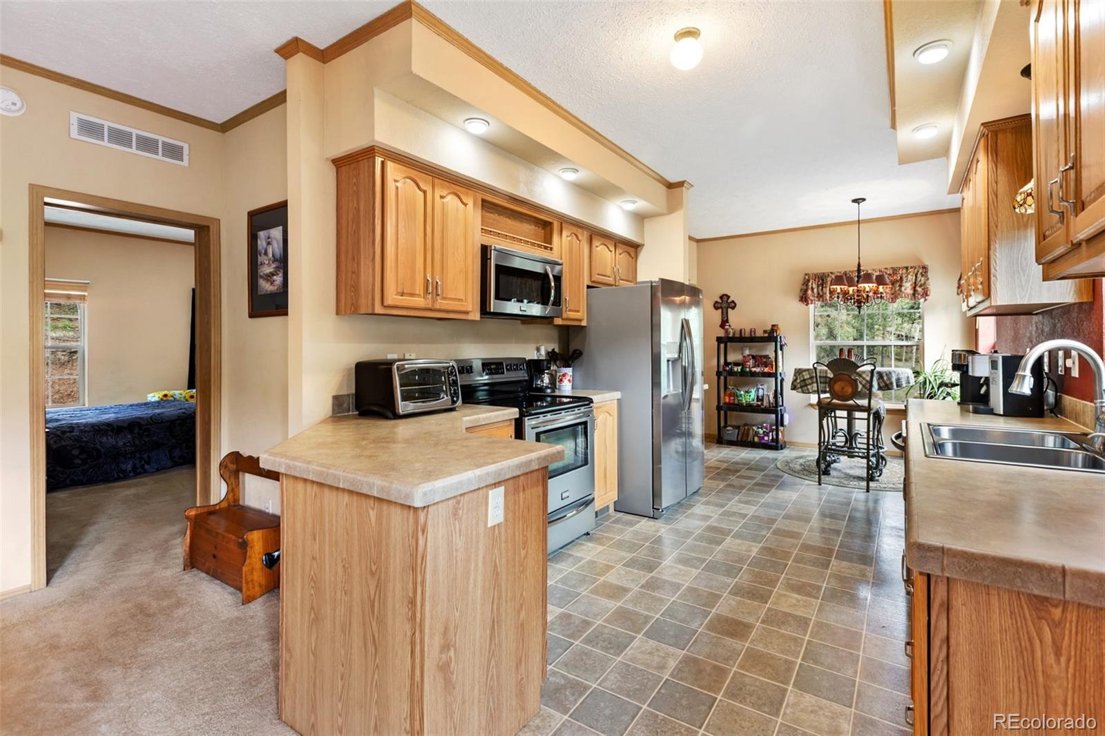 MLS Image #20 for 129  kestrel court,divide, Colorado