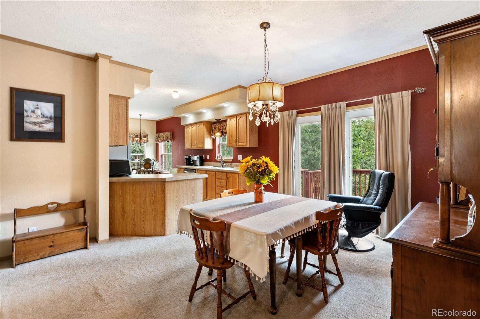 MLS Image #21 for 129  kestrel court,divide, Colorado