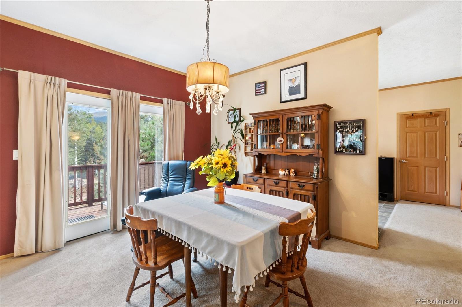 MLS Image #22 for 129  kestrel court,divide, Colorado