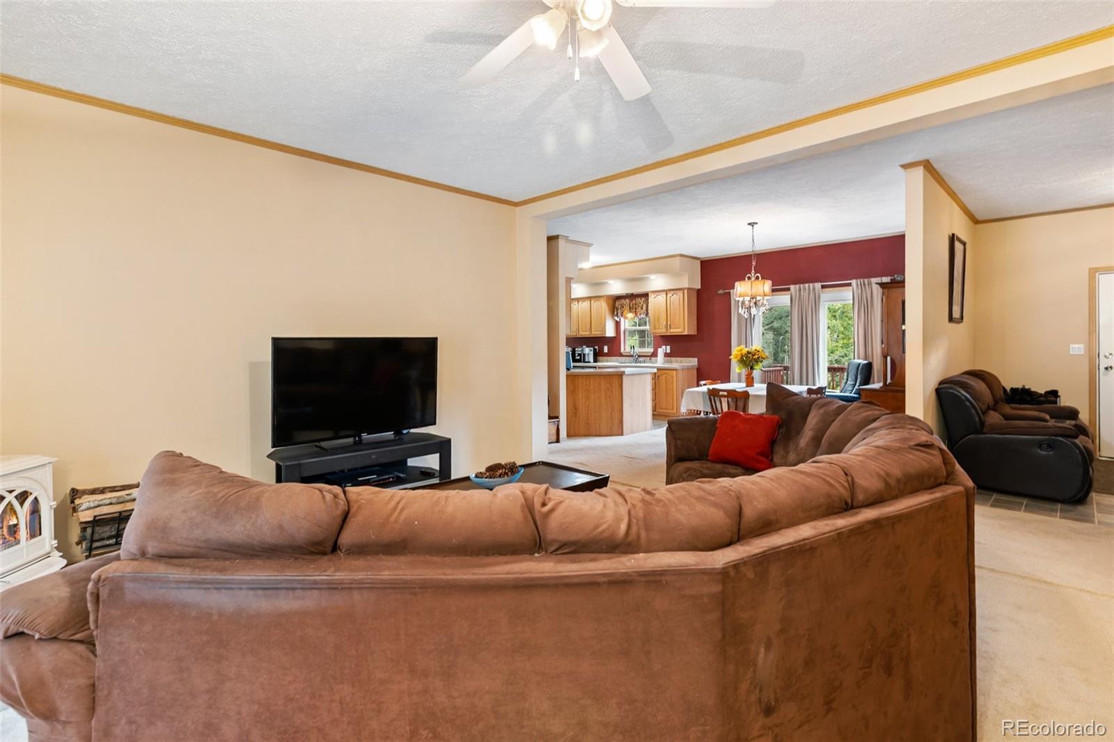 MLS Image #23 for 129  kestrel court,divide, Colorado